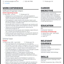 Cool Software Engineer Resume Examples Designed For Example
