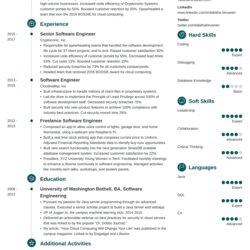 Software Engineering Resume Examples Templates Engineer Template