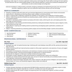 Champion Software Engineer Resume Examples Template With Job Winning Tips