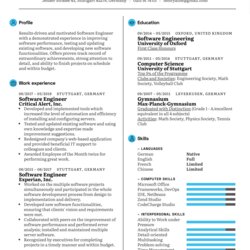 Wizard Software Engineer Resume Example Sample Experienced Samples Image