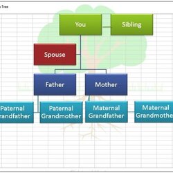 Create Family Tree With The Help Of These Free Templates For Excel Template Microsoft Office Multimedia