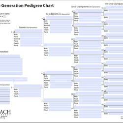 Wonderful Excel Family Tree Template Generation Pedigree Sensational Genealogy Astounding Ancestry