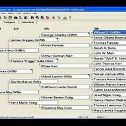 Supreme Excel Family Tree Template Business Genealogy