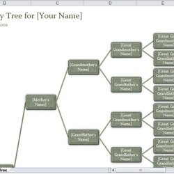 Excellent Family Tree Template Excel