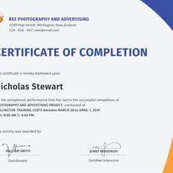 Excellent Free Completion Certificate Template In Adobe Illustrator Certification Training Word Templates