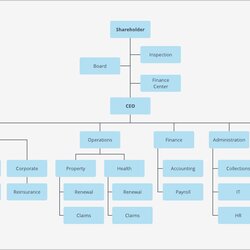 Admirable Organizational Chart Template For Microsoft Word Templates Intended