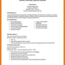 Brilliant Undergraduate Student Template Business Scholarship Pattern For Internship How To Write An Resume