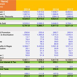 Magnificent How To Make Income Statement In Excel Templates Annual Yearly Template