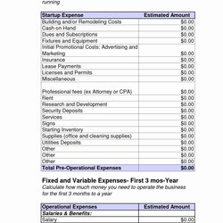 Superb New Business Spreadsheet Template Expenses Costs Capitalization Editable Intended