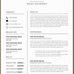 Admirable The Best Resume Format For Modern Job Seeker Corporate Template Free Of Templates
