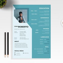 Exceptional Modern Resume Free Template In Illustrator Clean
