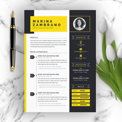 Smashing Clean Professional Creative And Modern Resume Curriculum Vitae Template Resumes Inventor Design Ms