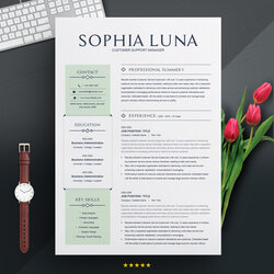 Tremendous Professional Modern Resume Design Template For Word Pages Resumes Free Main Image