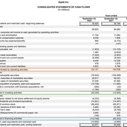 What Is Cash Flow Statement Format Template Of Flows Example