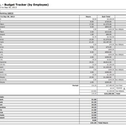 Marvelous Project Budget Tracking Excel