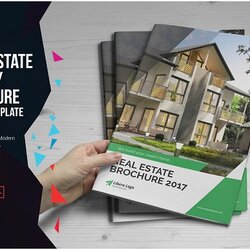 Spiffing Real Estate Brochure Templates That Will Attract Your Client Template