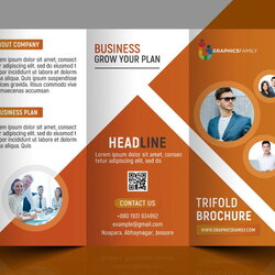 Professional Fold Brochure Template Customize Downloading Free