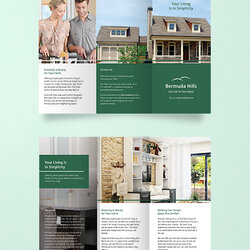 Legit Green Brochure Designs Templates Width