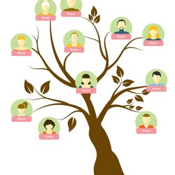 Cool Free Family Tree Templates Word Excel Template Blank Scaled