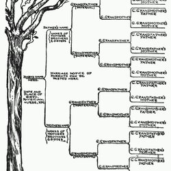 Splendid Family Tree Template