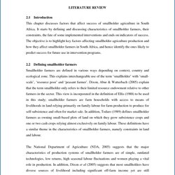 Great Free Literature Review Format Template Example