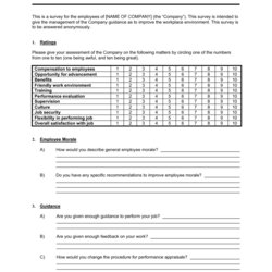 Worthy Employee Satisfaction Survey Template By Business In Word Templates Description Document Box