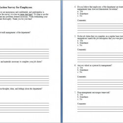 Marvelous Employee Satisfaction Survey Template Word Professional Questionnaire Ideas With