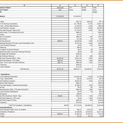 Great Treasurer Report Excel Spreadsheet With Regard To Template Church Treasurers Sample Google Next