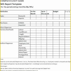 Smashing Treasurer Report Template Excel Fresh Format How To