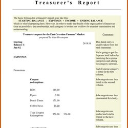 Admirable Treasurer Report Template Word Printable Searches Non Profit Sample Treasurers Pertaining To