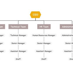 Out Of This World Organizational Chart Template Example