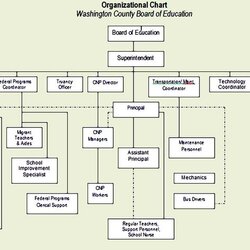 Outstanding Organizational Chart Template Sample In