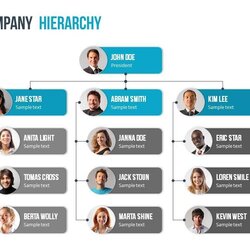 Marvelous View Presentation Organization Chart Template Organizational Hierarchy