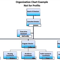 Sample Organization Chart Organizational Templates