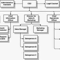 Fantastic Quantum Leap Collaborative Corporate Organization Chart Example