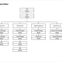 Champion Organization Chart Free Templates Entering Ruled Created