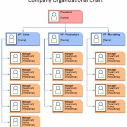 Automatically Create Org Chart Excel General Ledger Template Free Company Organization