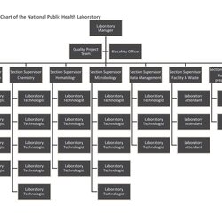 Eminent Organization Chart Template Word Organizational