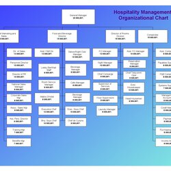Peerless Organization Chart Example By Sarah Humphrey Organizational Page