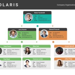 Exceptional Business Organization Chart Company Organizational Flow Template