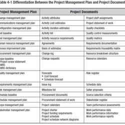 Develop Project Management Plan Firebrand Learn
