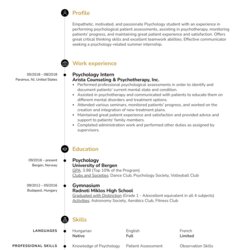 Matchless Legal Intern Resume Sample Good Examples Psychology Image