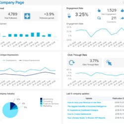 Great Social Media Reports Discover Top Examples Templates Dashboard Report Company Example Dashboards