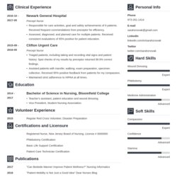 Nursing Student Resume Examples For Template Example Experience Rn Guide Vibes