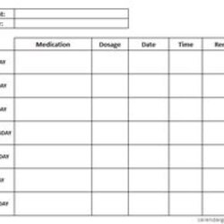 High Quality Free Medication Administration Record Template Excel Yahoo Image Chart Schedule Printable