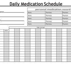 Magnificent Printable Daily Medication Schedule Template Excel