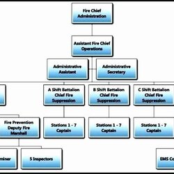 Matchless Chain Of Command Chart Template Elegant Basic Structure