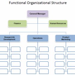 Marvelous Chain Of Command Template Business Mentor Chart Organizational Company Organization Functional