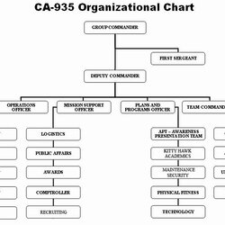 Chain Of Command Diagram Template