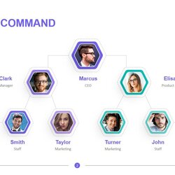 The Highest Quality Chain Of Command Organizational Structure Template